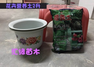 包邮 热销花卉通用培养土泥炭土花泥土庭院阳台盆栽土每包2升