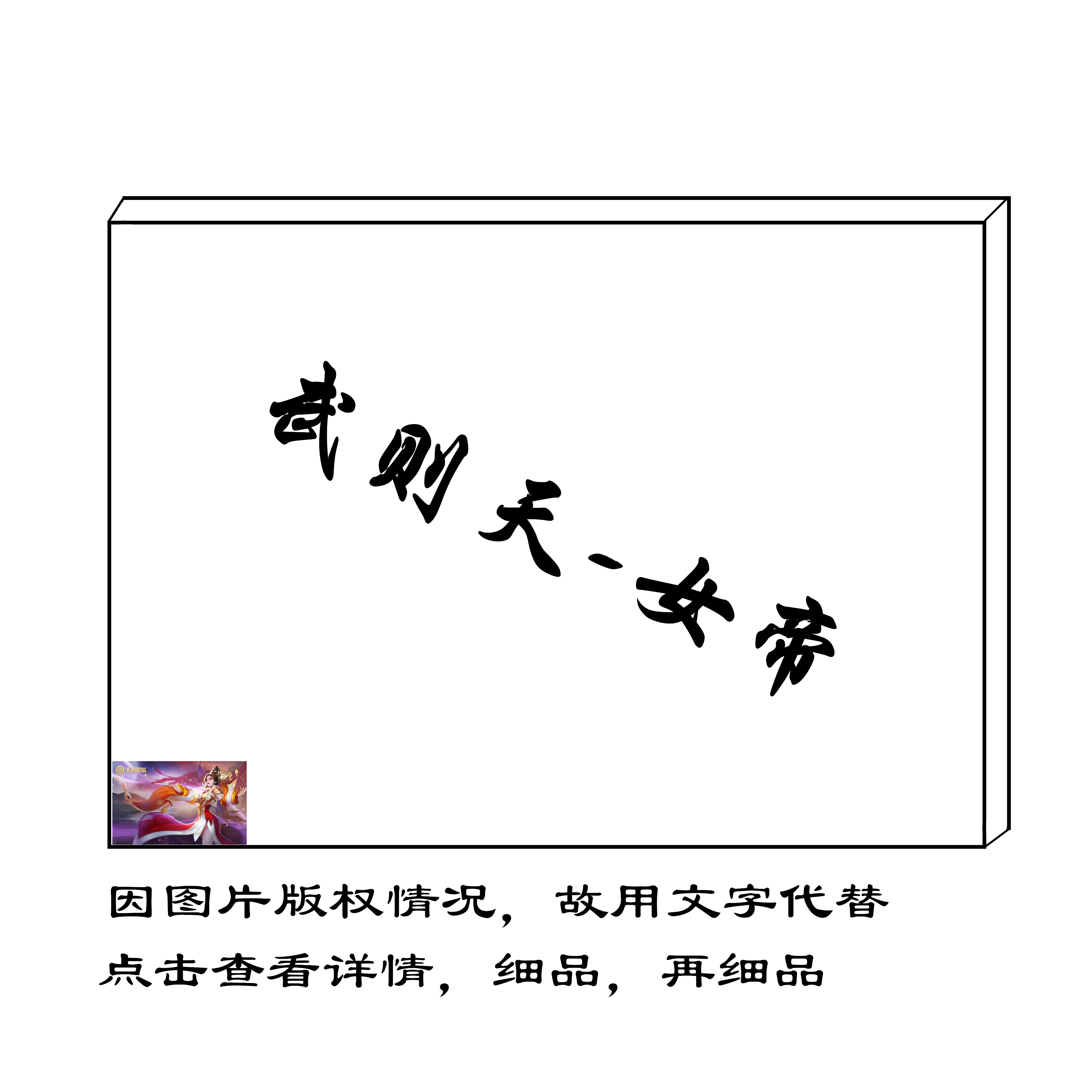 王者荣耀 武则天女帝创意diy减压数字油画游戏填色角色人物室内画