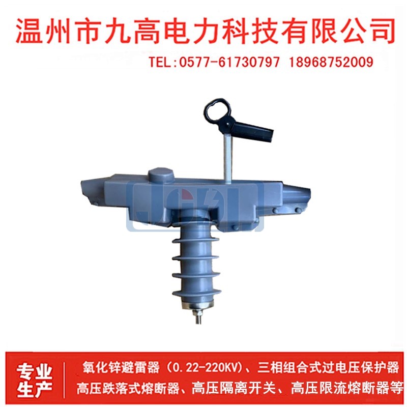 10KV支柱型高压避雷器 HY5WBDG-17/50T户外10KV高压氧化锌避雷器-封面