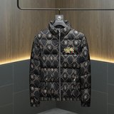 2025新款男士立领开衫时尚潮流羽绒服外套QT6012AFD7802-P310，男装羽绒服，阿丰达