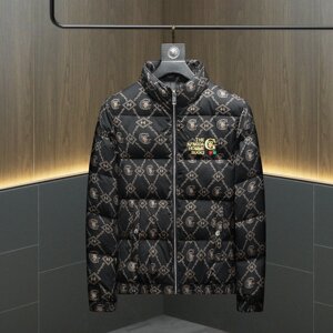 2026新款男士立领开衫时尚潮流羽绒服外套QT6012AFD7802-P310图片