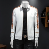 2024假模秋款男士立领开衫潮流卫衣夹克款QT6012AFD9334Y-P160，男装卫衣，阿丰达