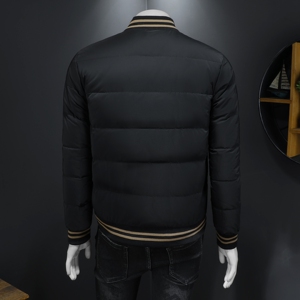 2026新款男士立领开衫时尚潮流羽绒服外套QT6012AFD7800-P300图片