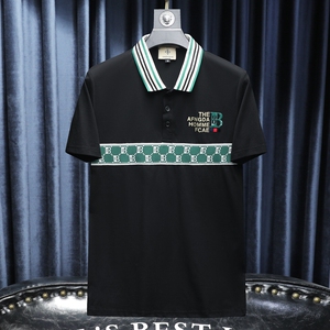 2024夏季新款高端品质丝光棉男士潮流短袖T恤 QT6012AFD8382T-P75图片
