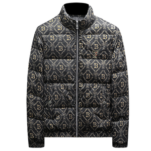 2026新款男士立领开衫时尚潮流羽绒服外套QT6012AFD7808-P310图片