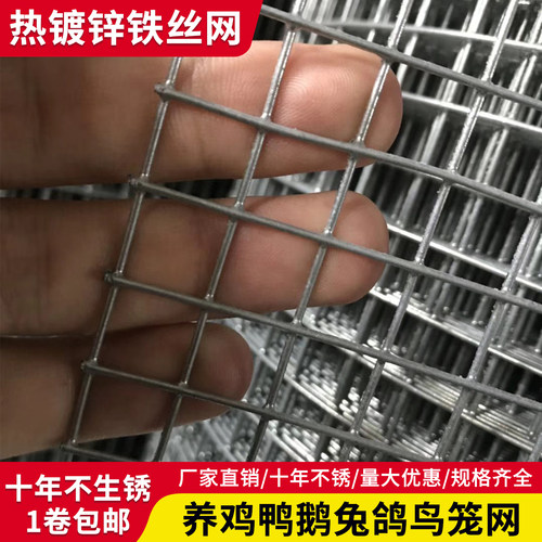 热镀锌防锈围栏养殖鸡鸽铁丝网