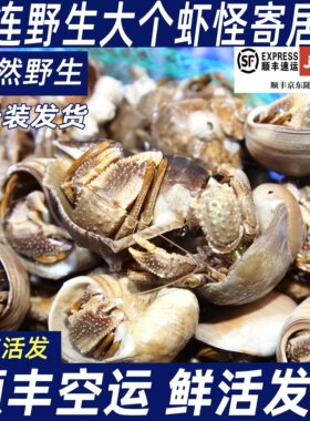 大连3斤带壳大虾怪寄居蟹海鲜（ 肚子瘪 吃腿肉 肚子不售后）
