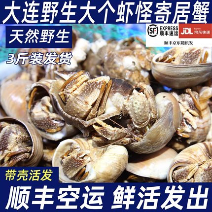 大连3斤带壳大虾怪寄居蟹海鲜（ 肚子瘪 吃腿肉 肚子不售后）
