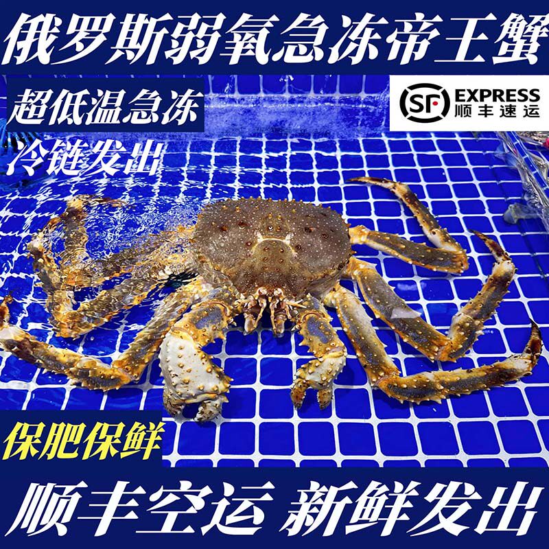 【顺丰特快】冷冻蓝帝王蟹冰鲜保鲜保肥-60°超低温急冻帝王蟹
