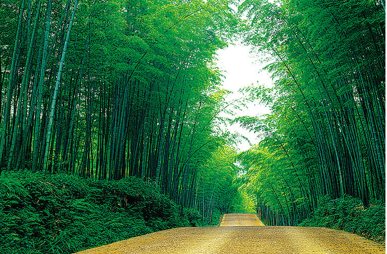 简约现代竹林风景海报挂画无框山水家居沙发背景墙贴画年画