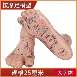 足部按摩穴位模型足底反射区脚部脚丫子足疗中医保健刻字点穴家用