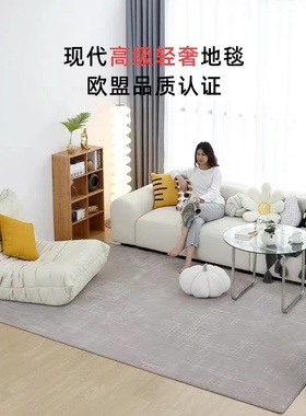 土耳其进口高端新西兰羊毛简约地毯卧室客厅书房家用别墅大宅满铺