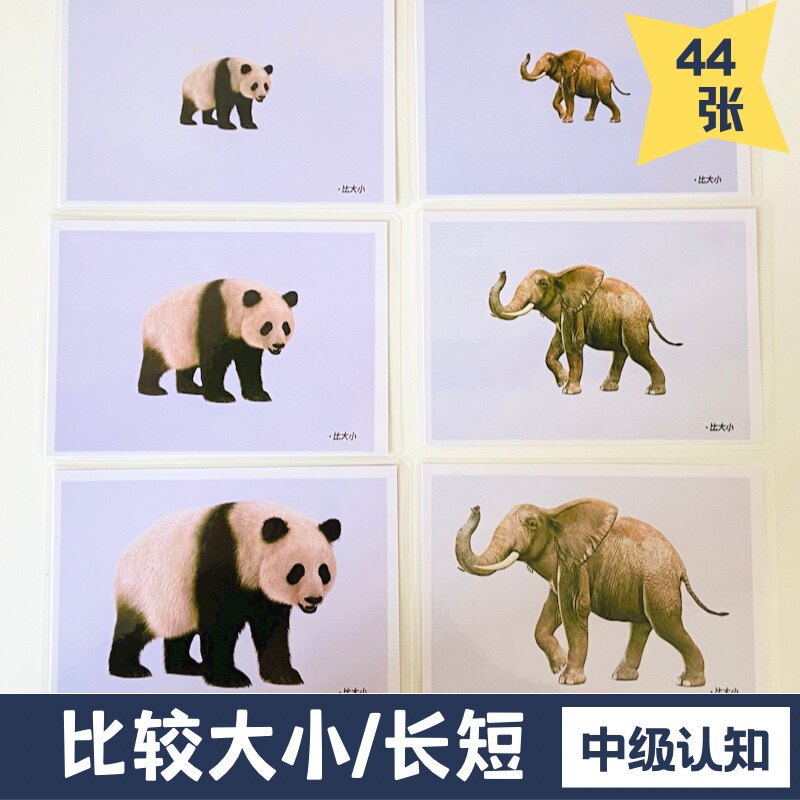 大小长短粗细多少高矮胖瘦对比卡