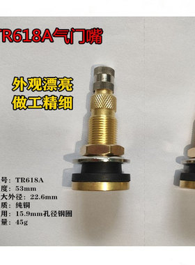 12-16.5挖掘机轮胎气门嘴TR618A