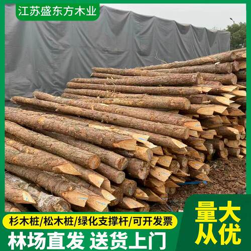 一手货源松木桩新鲜带皮杉木桩
