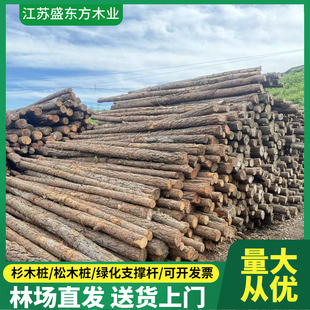 油松松木桩河道河堤防汛护坡围堰地基加固水利施工原木防腐杉木桩