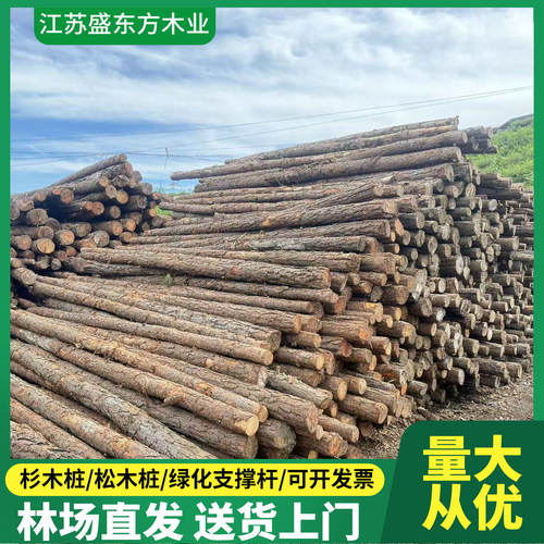 松木桩1米至9米均有现货免费削尖