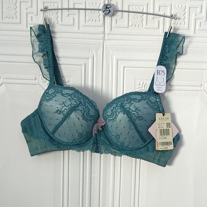 eblin品牌特卖专柜正品绿野仙踪聚拢性感文胸女内衣ecbr911041