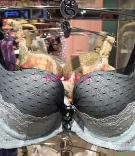 专柜正品EBLIN女士内衣小胸聚拢文胸蓝色断码清仓 ECBR612061