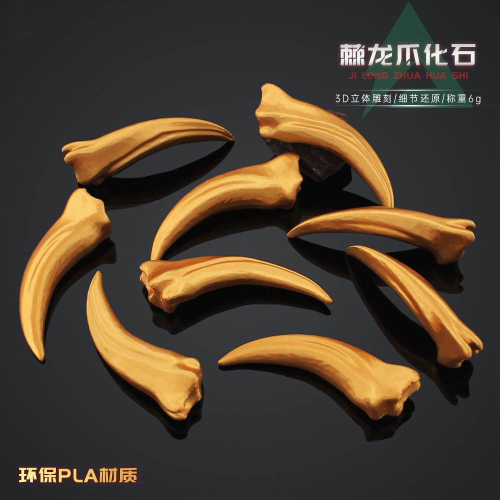 三角洲行动棘龙爪化石模型