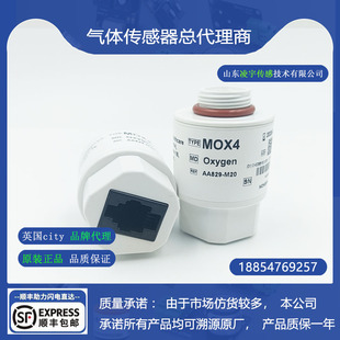 MOX4氧气传感器英国City进口谊安VG70呼吸机氧电池VT5230现货VG55