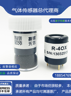 R-4OX氧气EX-100%LEL可燃气体传感器硫化氢H2S一氧化碳CO氨气NH3