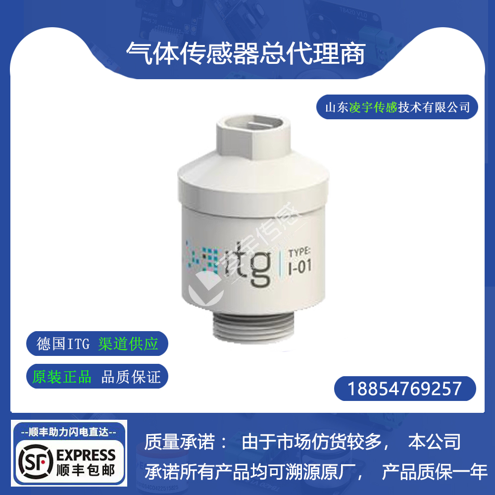 I-01氧气传感器工业氧电池