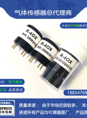 R-4OX氧气EX-100%LEL可燃气体传感器硫化氢H2S一氧化碳CO氨气NH3