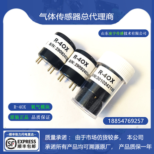 100%LEL可燃气体传感器硫化氢H2S一氧化碳CO氨气NH3 4OX氧气EX