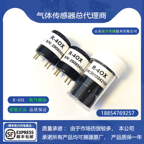 R-4OX气体传感器中安报警器