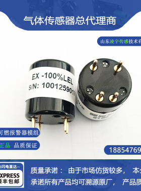 R-4OX氧气EX-100%LEL可燃气体传感器硫化氢H2S一氧化碳CO氨气NH3