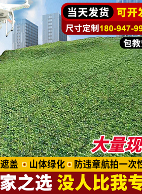 伪装网防航拍绿化网卫星遮挡防伪网户外防晒遮阳网加厚加密迷彩网