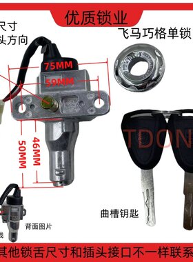 电动车锁配件小龟王电门点火电源锁巧格龙头锁坐垫锁电瓶车车头锁