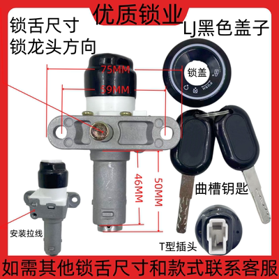 电动车锁电门电源锁LJ坦途/博奥/星空三合一钥匙踏板车电源锁适配