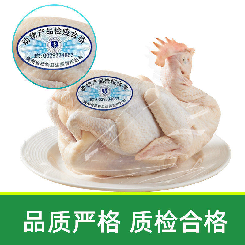 正宗海南散养文昌鸡椰子鸡火锅配料豪华套餐特产走地鸡切块配蘸料