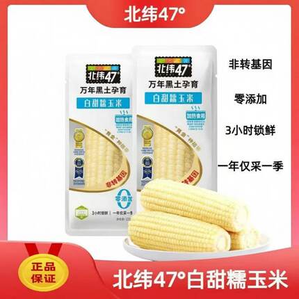 临期北纬47度白甜糯玉米220g真空装非转基因东北甜糯玉米