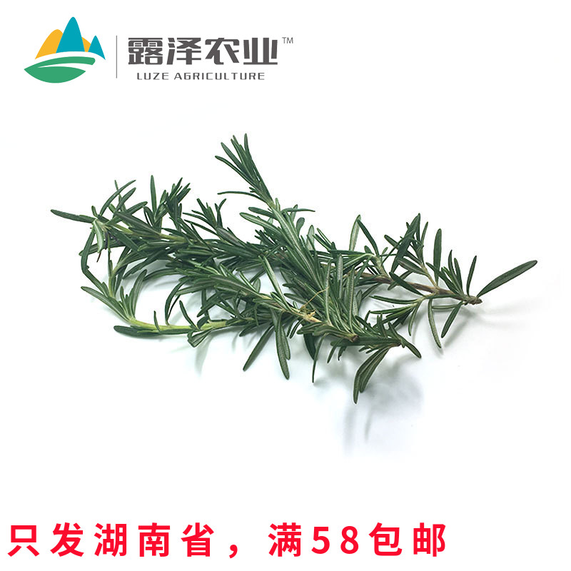 【露泽鲜蔬】新鲜迷迭香西餐烤肉香料长沙同城蔬菜沙拉搭配