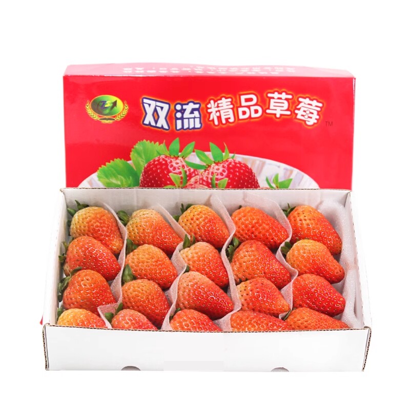 双流冬四季酸草莓新鲜商用水果奶茶烘焙饮品糖葫芦专用一盒20颗