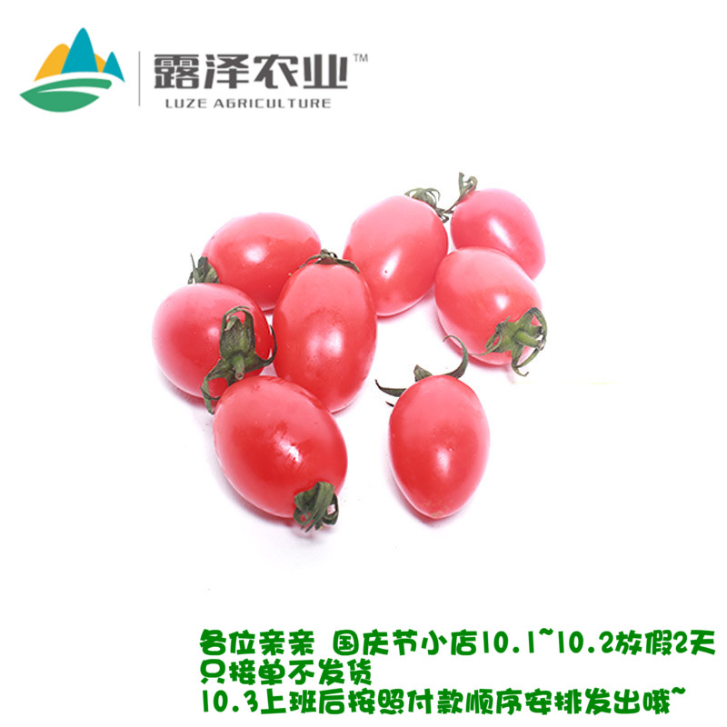 ¡¾Â¶ÔóÏÊÊß¡¿ºìʥŮ¹ûС·¬ÇÑÐÂÏÊË®¹ûÎ÷²ÍɳÀ´îÅä²Ë750g
