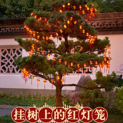 新年小红灯笼挂树红灯笼串灯彩灯
