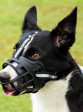 狗嘴套反光宠物狗嘴罩防咬叫乱吃中型大型犬狗口罩金毛狗止吠器