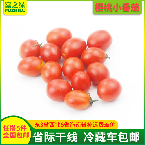 新鲜圣女果西红柿樱桃小番茄