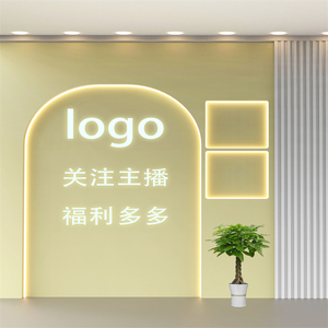 时尚高级感拍照背景墙布仿真3D立体服装直播间淡色背景墙主播同款