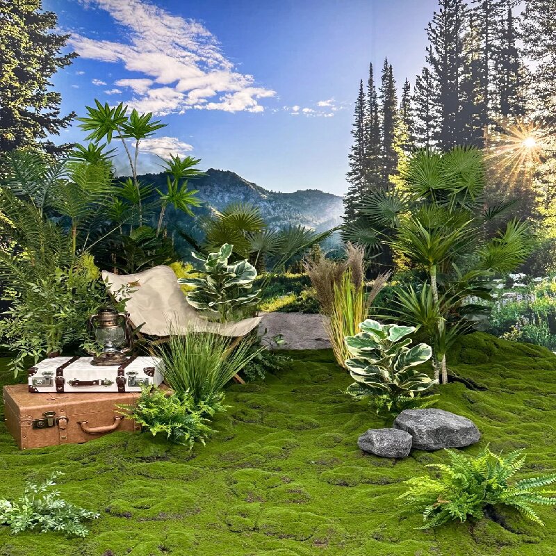 野餐写生森林休闲风背景布户外高山树木草地自然风景3d直播背景布
