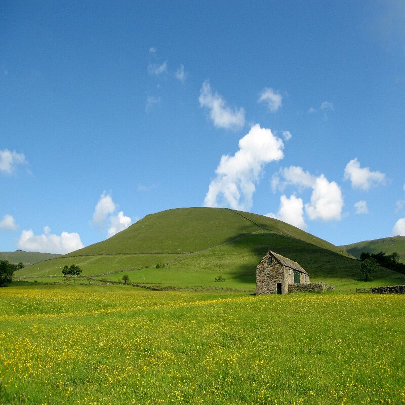 热卖海景公园清新唯美拍照风景山水大草原竹林室外风景直播背景布