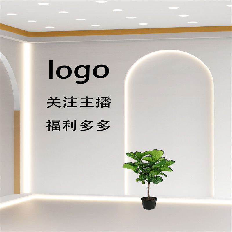 高端品牌直播间背景墙室内拍照仿真立体服装鞋包高级感立体背景布