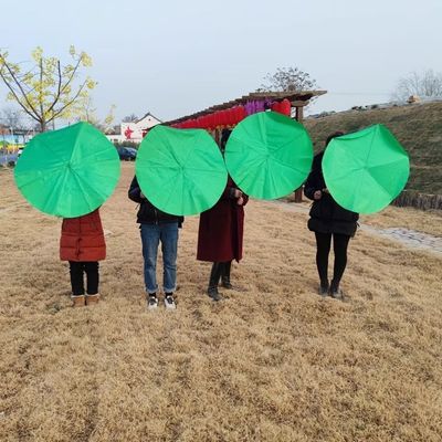 荷叶翩翩演出服莲叶翩翩舞蹈服古典舞剧目小荷花道具如梦令表演服