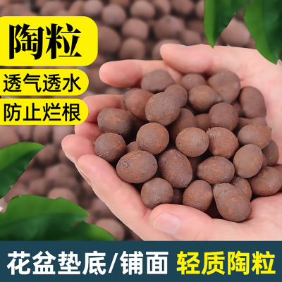 陶粒养花多肉绿植盆铺面垫底透气