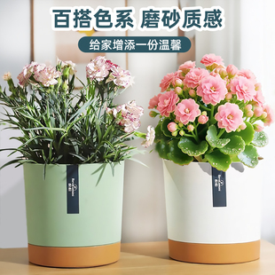 北欧简约小花盆家用桌面多肉绿萝盆栽阳台月季 绿植控根轻奢高级感