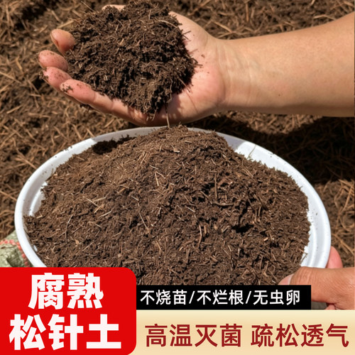 腐熟松针营养土兰花三角梅养花土
